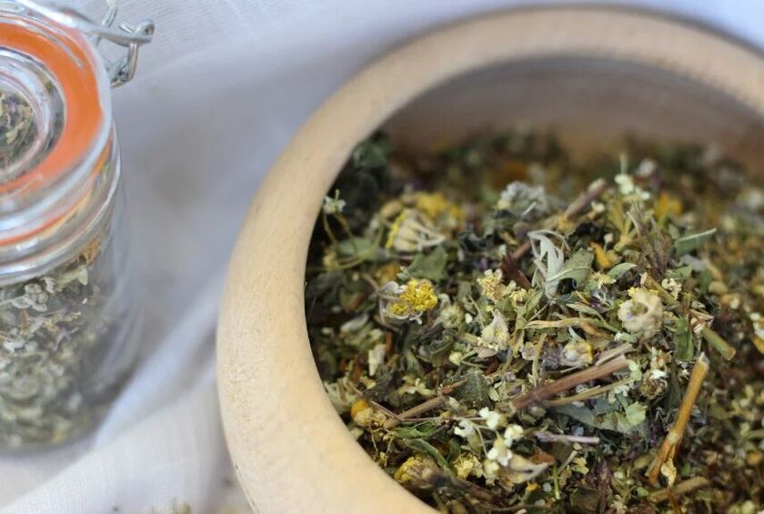 medicinal herbs for treating fungus